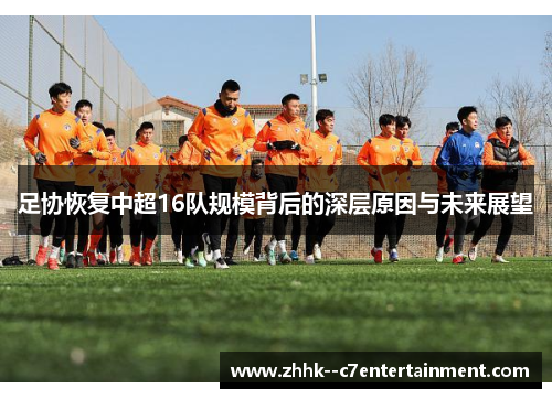 足协恢复中超16队规模背后的深层原因与未来展望