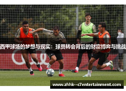 西甲球场的梦想与现实:球员转会背后的财富博弈与挑战 西甲球场的梦想与现实:球员转会背后的财富博弈与挑战